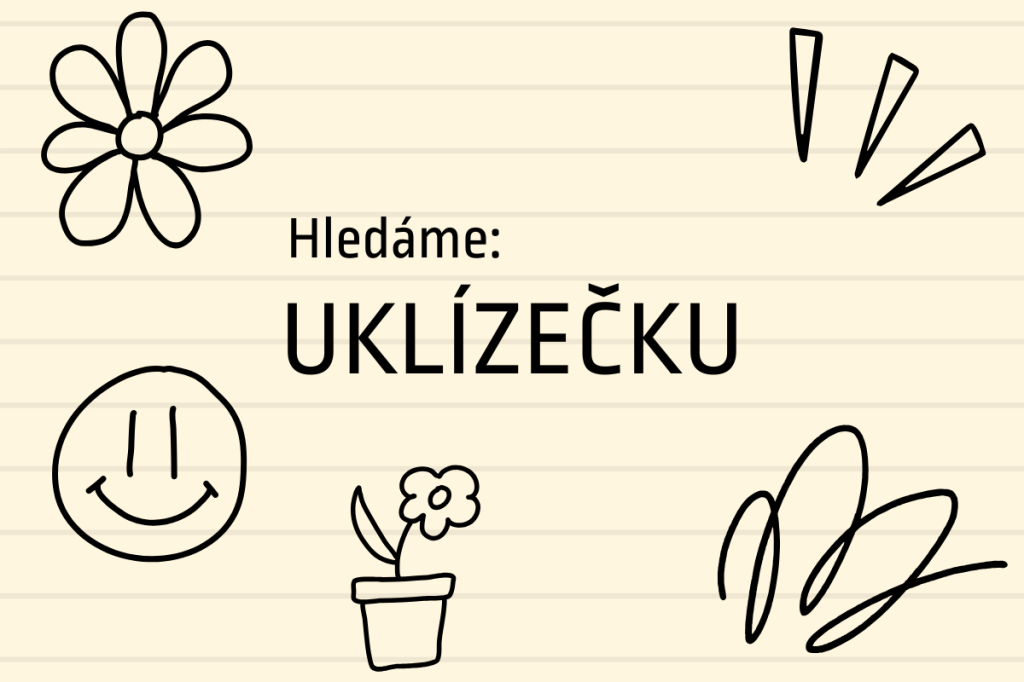 HLEDÁME UKLÍZEČKU