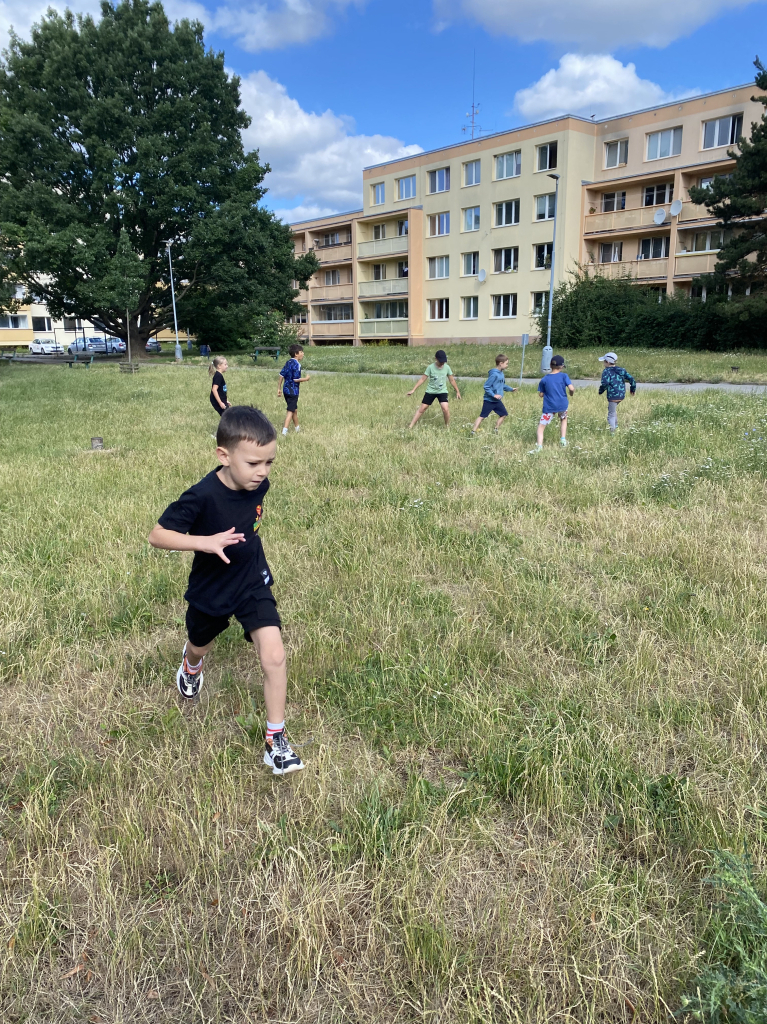 IMG_3481.jpeg