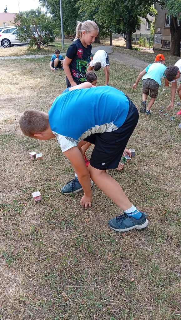 IMG_20260811_100946.jpg