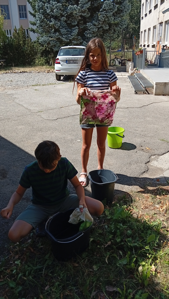 IMG_20260811_131634.jpg
