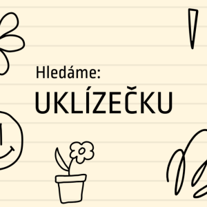 HLEDÁME UKLÍZEČKU